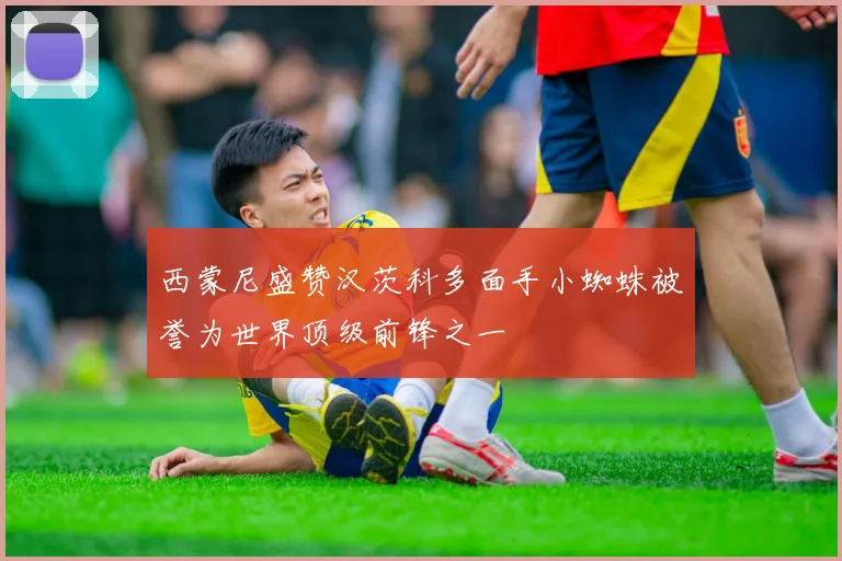 西蒙尼盛赞汉茨科多面手小蜘蛛被誉为世界顶级前锋之一