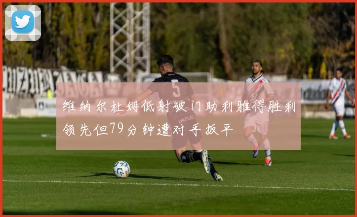 维纳尔杜姆低射破门助利雅得胜利领先但79分钟遭对手扳平