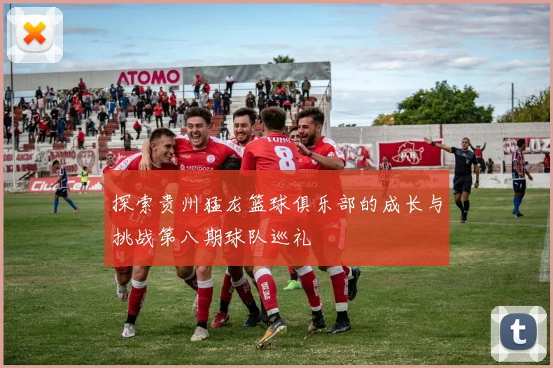 探索贵州猛龙篮球俱乐部的成长与挑战第八期球队巡礼