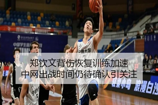郑钦文背伤恢复训练加速 中网出战时间仍待确认引关注 - ayx